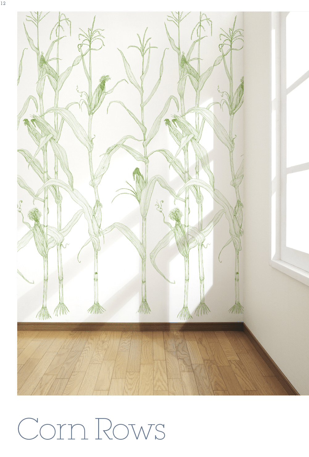 Corn Rows,12