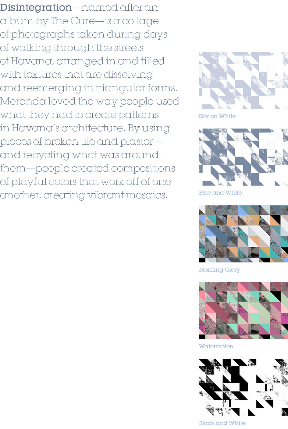 Disintegration—named after an album by The Cure—is a collage of photographs taken during days of walking through the ...